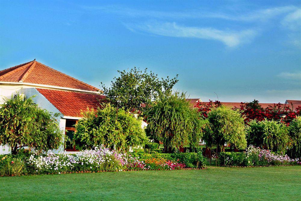 فندق Rishīkeshفي  Naturoville Ayurvedic And Yoga Retreat المظهر الخارجي الصورة