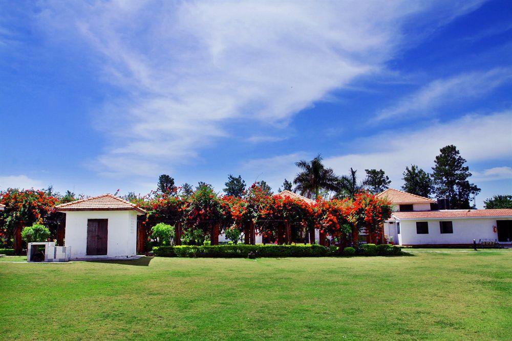 فندق Rishīkeshفي  Naturoville Ayurvedic And Yoga Retreat المظهر الخارجي الصورة