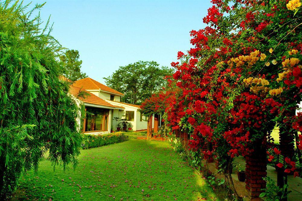 فندق Rishīkeshفي  Naturoville Ayurvedic And Yoga Retreat المظهر الخارجي الصورة
