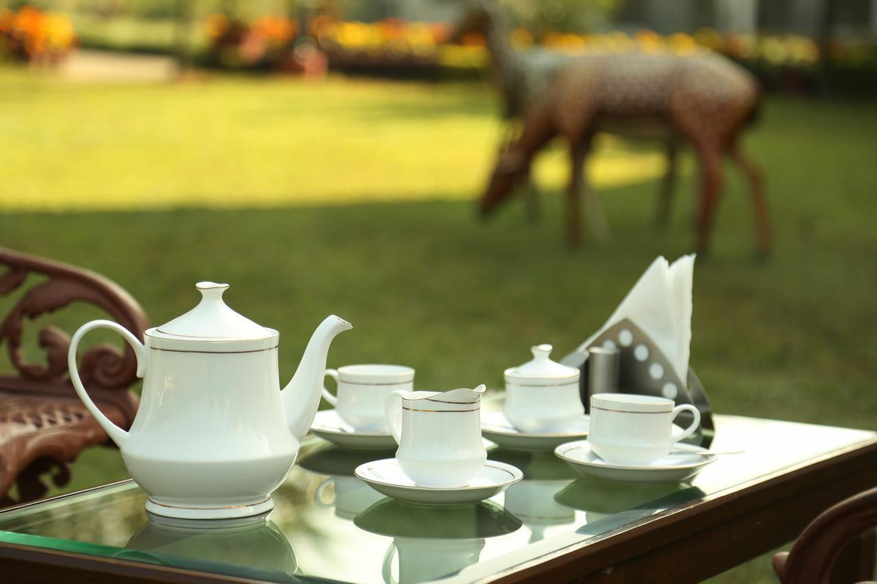 فندق Rishīkeshفي  Naturoville Ayurvedic And Yoga Retreat المظهر الخارجي الصورة