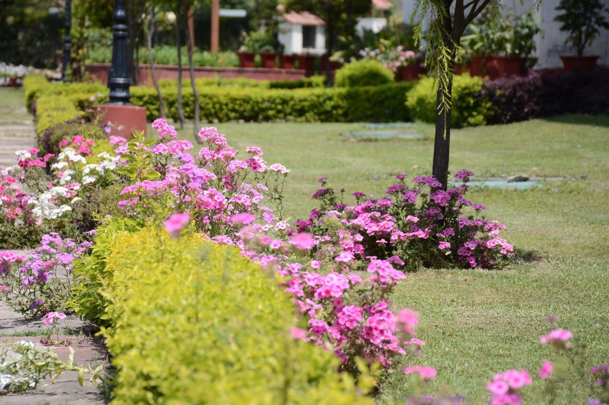 فندق Rishīkeshفي  Naturoville Ayurvedic And Yoga Retreat المظهر الخارجي الصورة