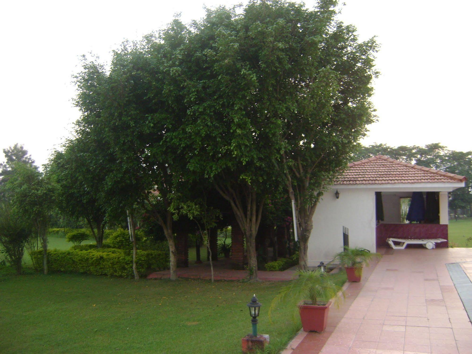 فندق Rishīkeshفي  Naturoville Ayurvedic And Yoga Retreat المظهر الخارجي الصورة
