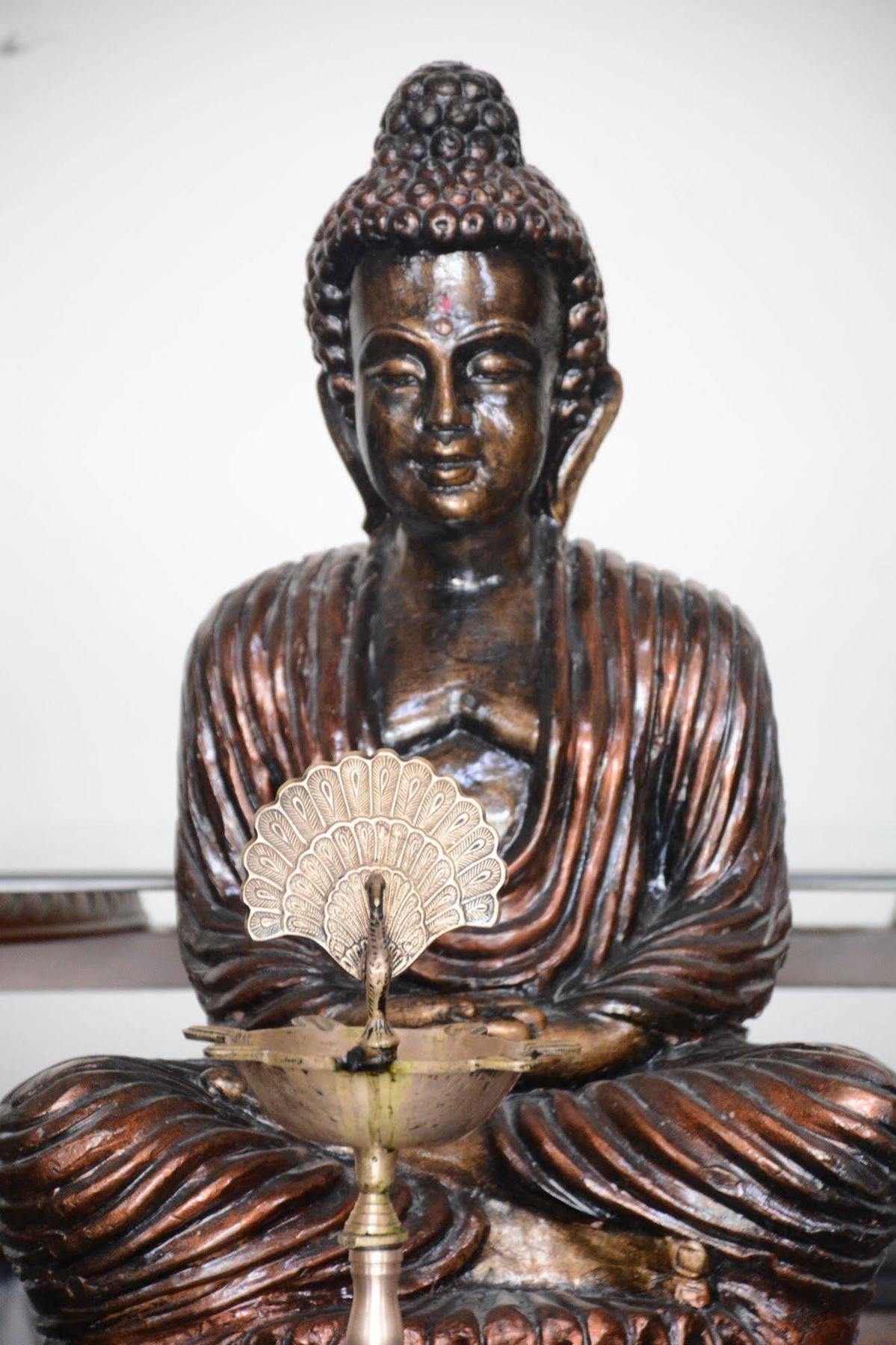 فندق Rishīkeshفي  Naturoville Ayurvedic And Yoga Retreat المظهر الخارجي الصورة
