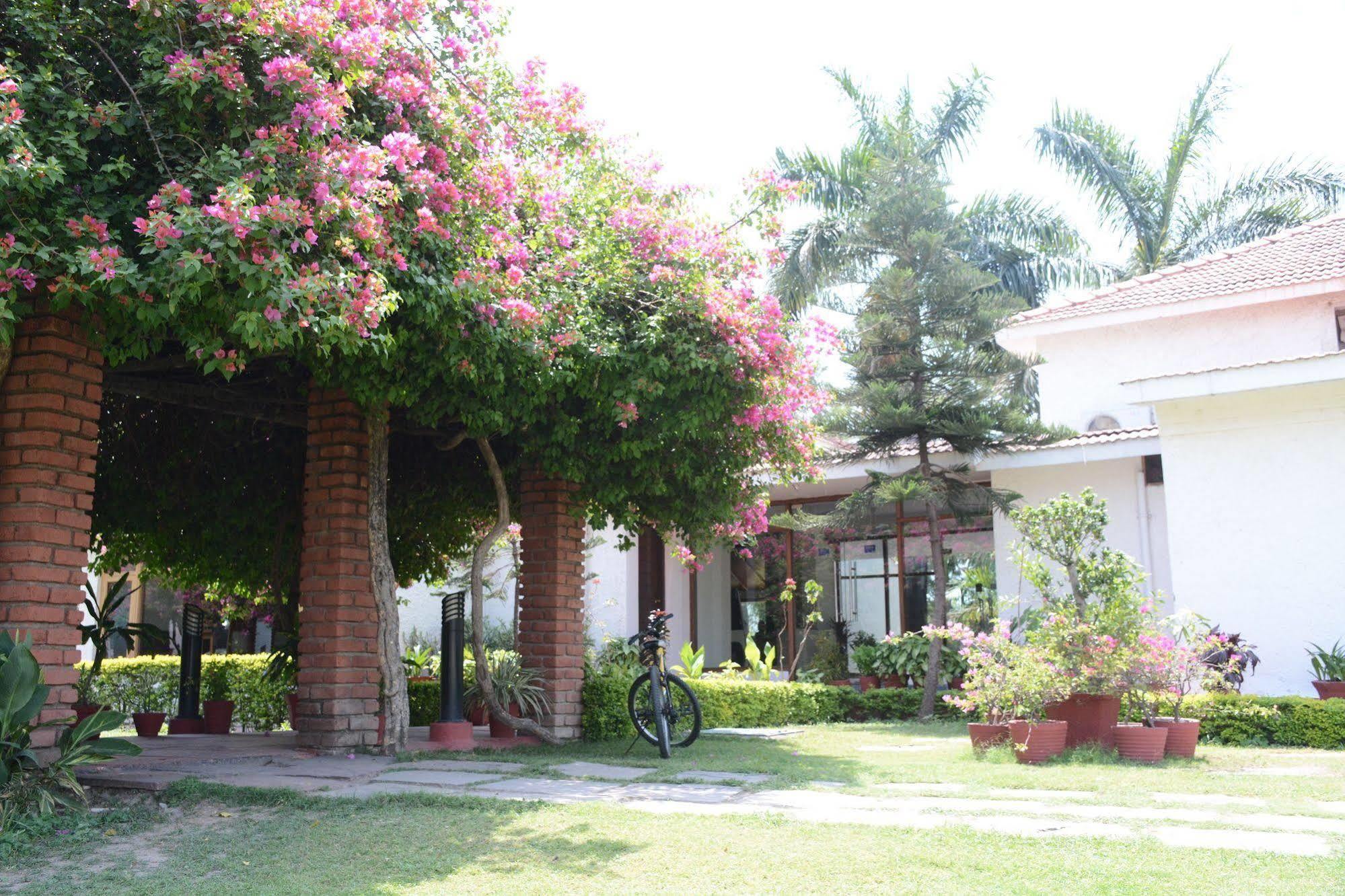 فندق Rishīkeshفي  Naturoville Ayurvedic And Yoga Retreat المظهر الخارجي الصورة