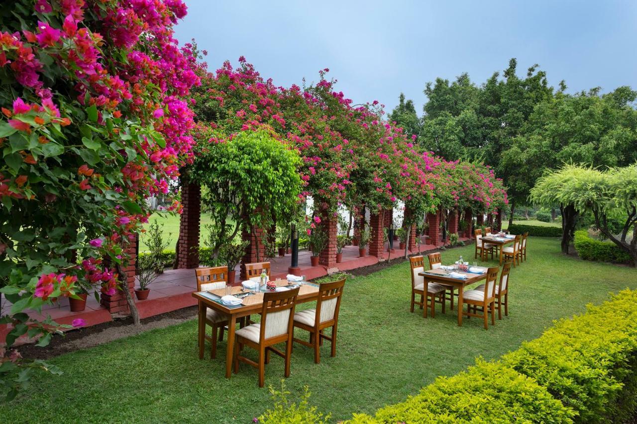 فندق Rishīkeshفي  Naturoville Ayurvedic And Yoga Retreat المظهر الخارجي الصورة